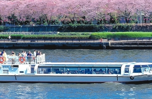 【1日30名限定】春ランチ＆お花見クルーズプラン