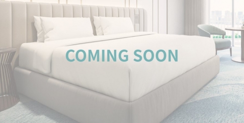 【新客室】デラックスプラスルーム